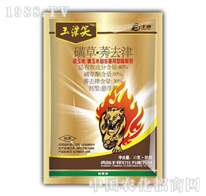 ���u�S��-����Ц