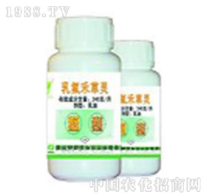 �S���r��-����̲��`