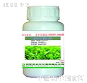 �S���r��-�ݸ��