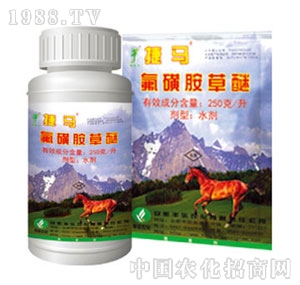 �S���r��-���ǰ�����