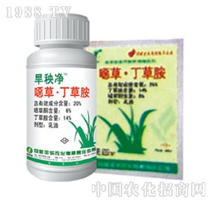 �S���r��-���ݶ��ݰ�