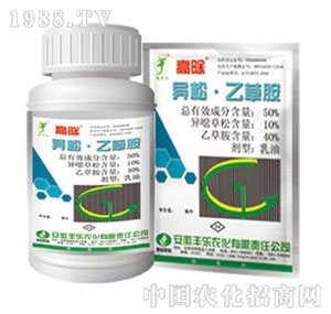 �S���r��-�����Ҳݰ�