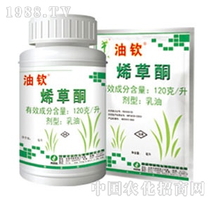 �S���r��-ϩ��ͪ