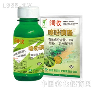 �S���r��-��Ի�¡