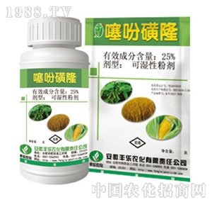 �S���r��-��Ի�¡