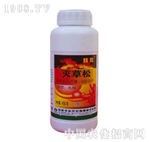 �S���r��-�����