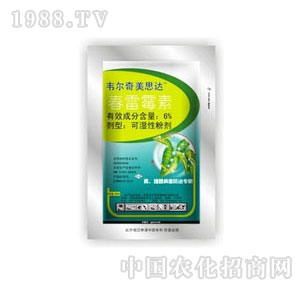 ����-��˼�_(d��)