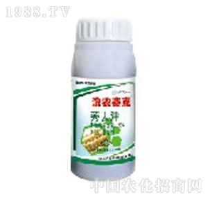 �I�r(n��ng)�Ƽ�-�I�r(n��ng)����