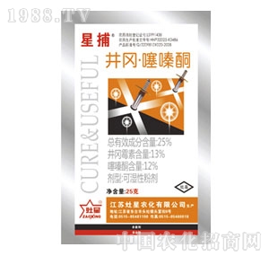 ����-�������ͪ