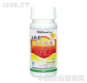 ���-��˹�`