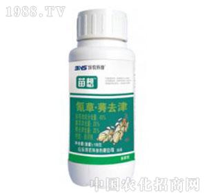 �I�r�Ƽ�-����