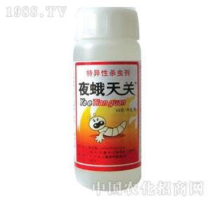 �G��-50�˷��������