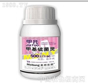 ����ˎ�I(y��)-����