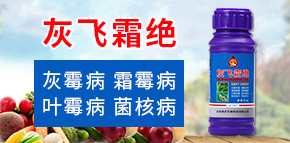 ɽ�|��(qi��ng)�r(n��ng)����Ƽ����޹�˾