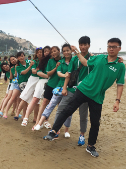 �r(n��ng)�Y�˾��\�F�Y(ji��)�������x�ͣ�